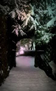 Snow Steps by Sue Vincent