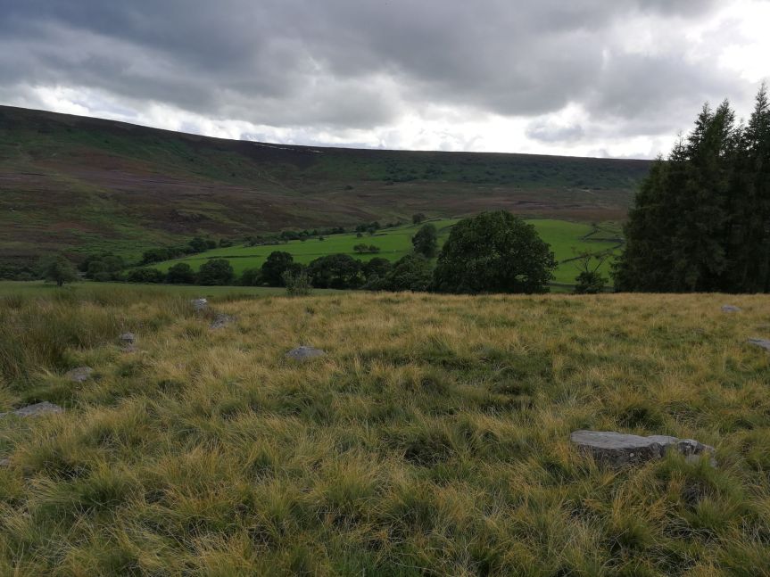 Some stones are located in the grassland which is surrounded by hills.