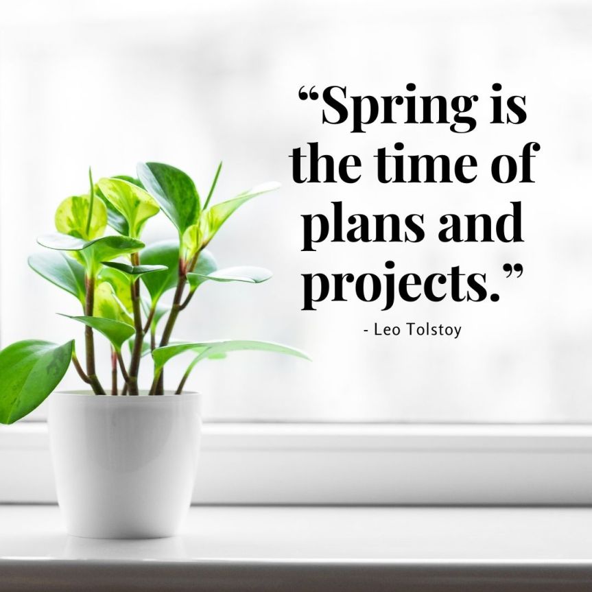 Spring is the time of plans and projects